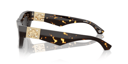 Dark Havana - 0BE4422U 8056262094495