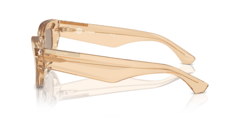 Brown - 0BE4425U 8056262081570