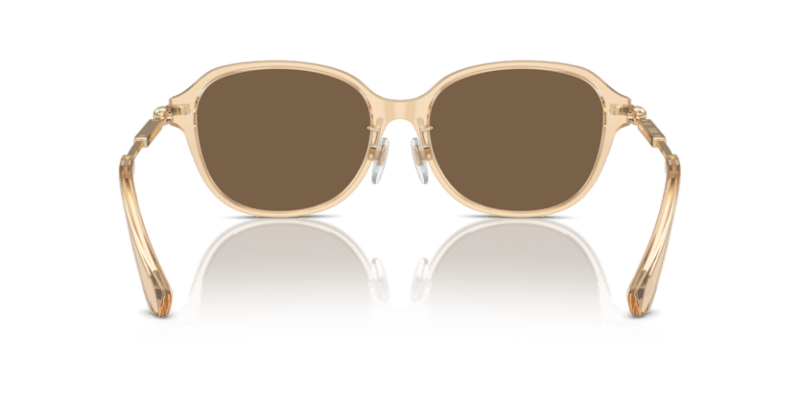 Brown - 0BE4429D 8056262086421