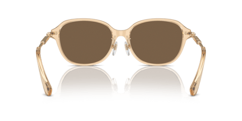 Brown - 0BE4429D 8056262086421