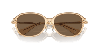 Brown - 0BE4429D 8056262086421