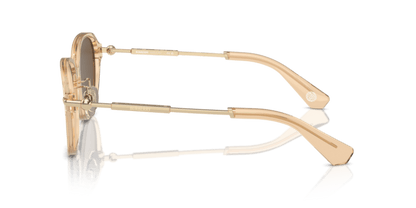 Brown - 0BE4429D 8056262086421