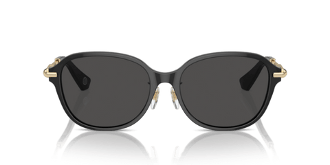 Dark Grey - 0BE4429D 8056262086438