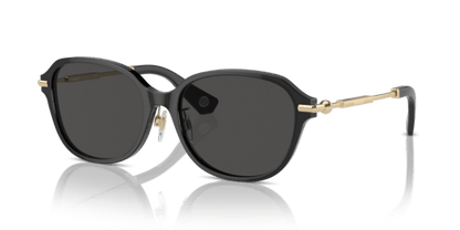 Dark Grey - 0BE4429D 8056262086438