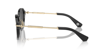 Dark Grey - 0BE4429D 8056262086438