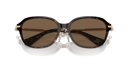 Dark Havana - 0BE4429D 8056262086414