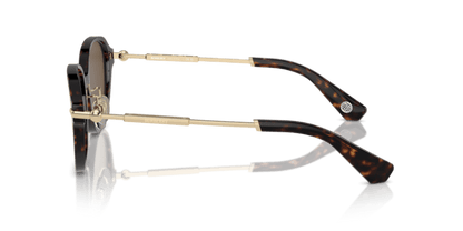 Dark Havana - 0BE4429D 8056262086414