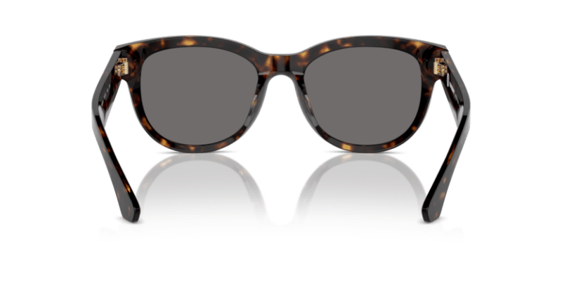 Dark Havana - 0BE4432U 8056262097526