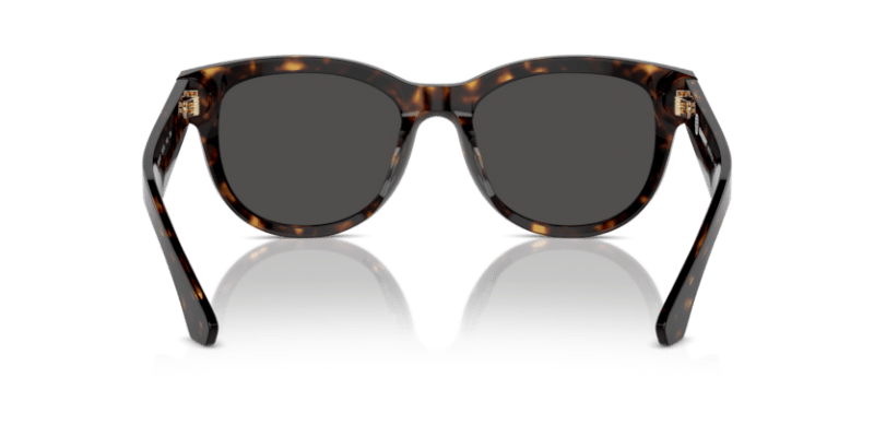 Dark Havana - 0BE4432U 8056262082911