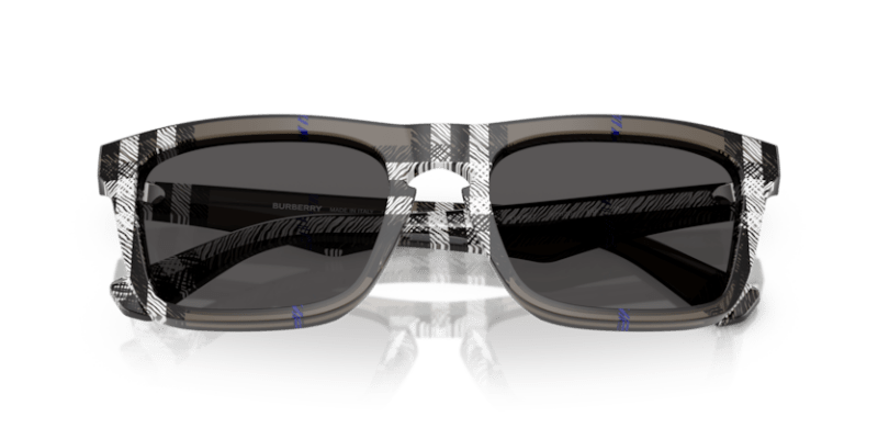 Check Lichen - 0BE4434 8056262197271