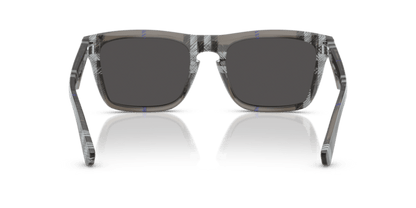 Check Lichen - 0BE4434 8056262197271