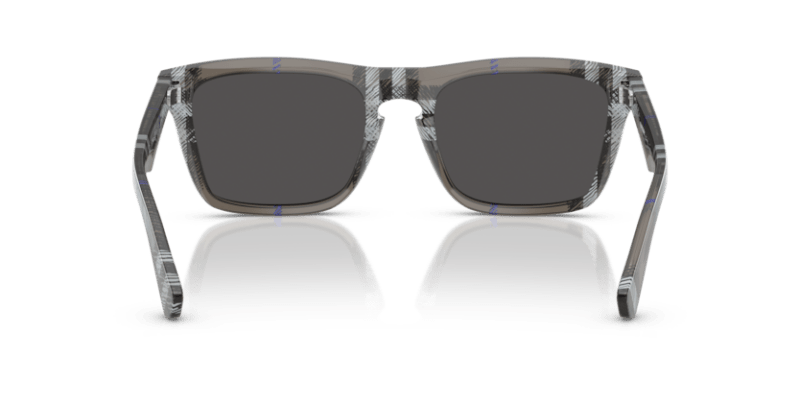 Check Lichen - 0BE4434 8056262197271