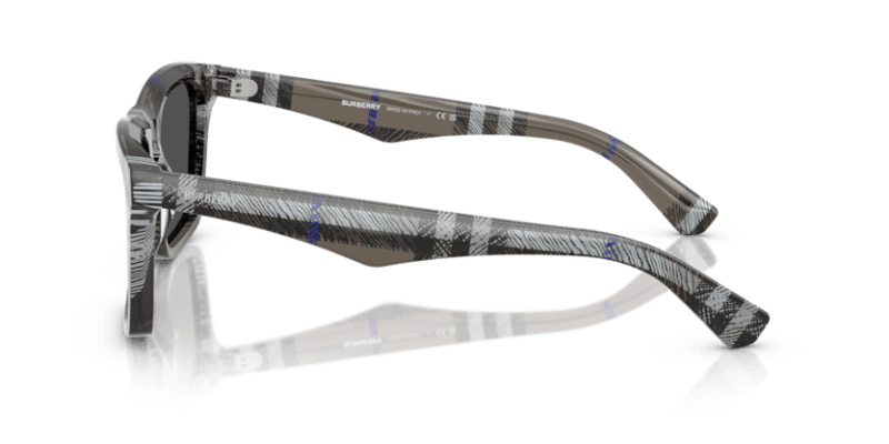 Check Lichen - 0BE4434 8056262197271