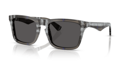 Check Lichen - 0BE4434 8056262197271