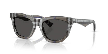 Check Lichen - 0BE4435 8056262196243