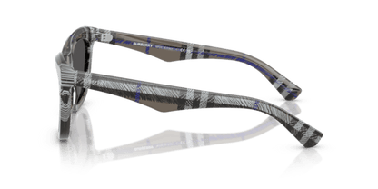 Check Lichen - 0BE4435 8056262196243