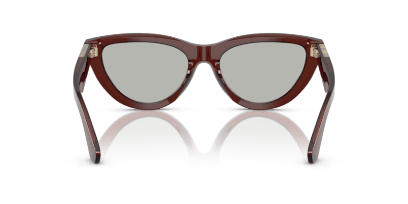 Brown - 0BE4436U 8056262196090