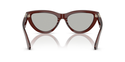 Brown - 0BE4436U 8056262196090