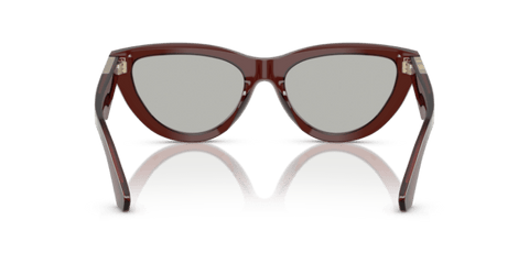 Brown - 0BE4436U 8056262196090