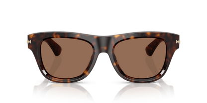 Dark Havana - 0BE4438U 8056262220719