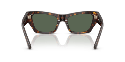 Dark Havana - 0BE4441U 8056262282755