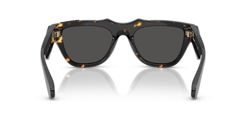 Dark Havana - 0BE4445U 8056262195512