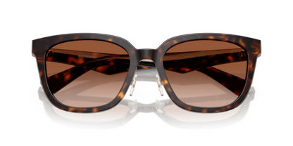 Dark Havana - 0BE4446D 8056262281512