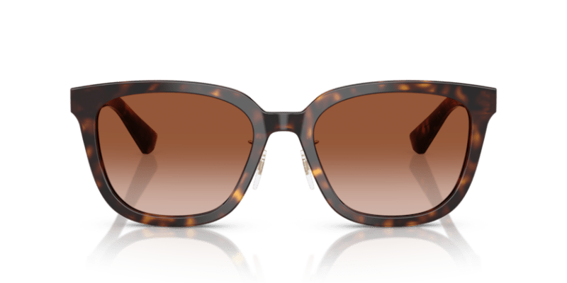 Dark Havana - 0BE4446D 8056262281512