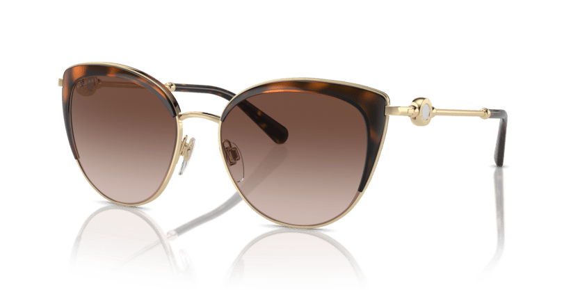 0BV6133 - Bvlgari - (Pale Gold/Dark Havana) Brown Gradient - 55 - 17 - 140 MM - Ardor Eyewear 8056597117081