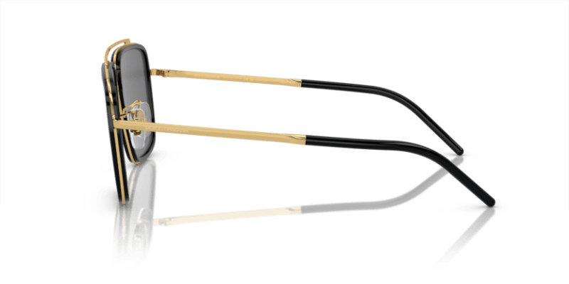 Gold/Black - 0DG2220 8056597018012