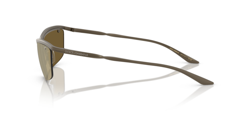 Matte Bronze - 0DG2307 8056262268612