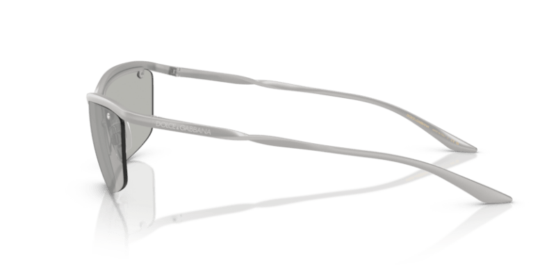 Matte Silver - 0DG2307 8056262268629