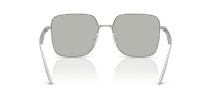 Matte Silver - 0DG2310 8056262281031