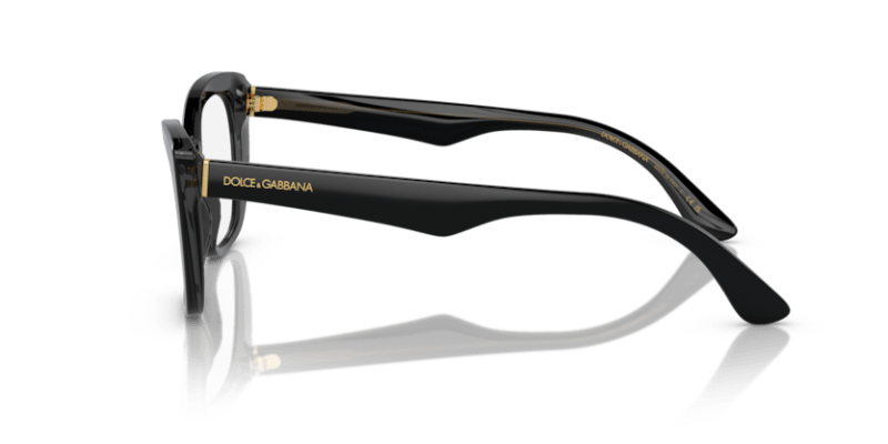 Black/Transparent Grey - 0DG3360 8056597756518