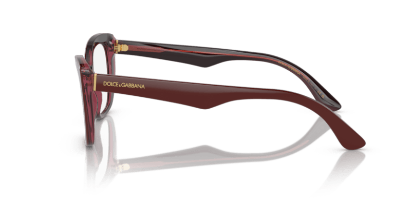 Bordeaux/Transparent Bordeaux - 0DG3360 8056597756532