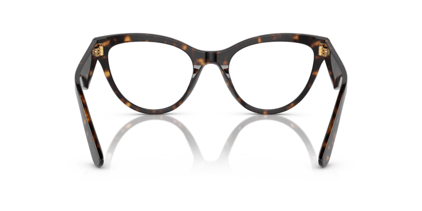 0DG3372 - Dolce & Gabbana - Tortoise - (Havana 502) - 52 - 20 - 145 MM - Ardor Eyewear 8056597843539