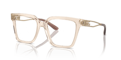 0DG3376B - Dolce & Gabbana - Brown - (Transparent Camel 3432) - 51 - 18 - 140 MM - Ardor Eyewear 8056262074558