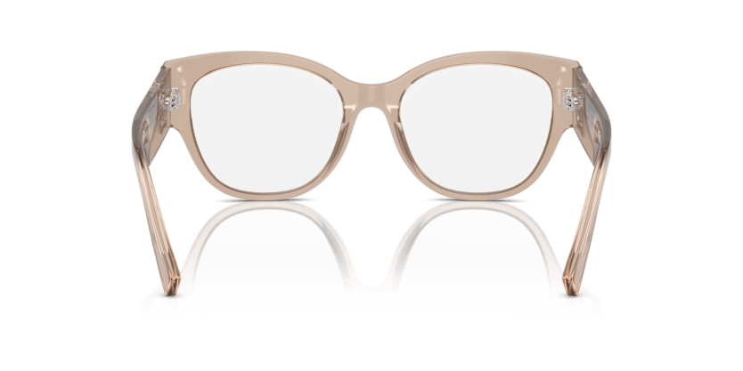 0DG3377 - Dolce & Gabbana - Brown - (Transparent Camel 3432) - 53 - 18 - 145 MM - Ardor Eyewear 8056262074459