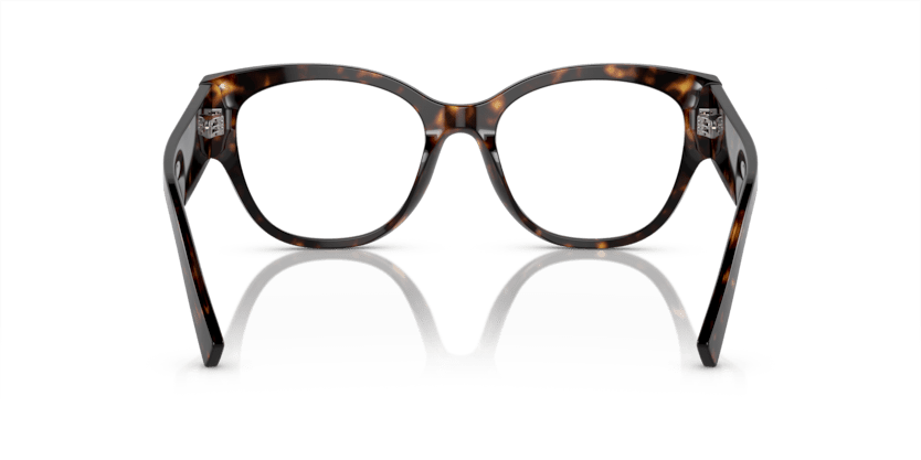 0DG3377 - Dolce & Gabbana - Tortoise - (Havana 502) - 51 - 18 - 145 MM - Ardor Eyewear 8056597947541