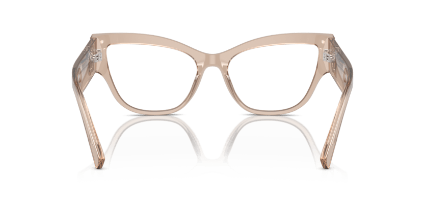 0DG3378 - Dolce & Gabbana - Brown - (Transparent Camel 3432) - 55 - 17 - 145 MM - Ardor Eyewear 8056262074527