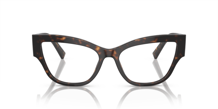 0DG3378 - Dolce & Gabbana - Tortoise - (Havana 502) - 53 - 17 - 145 MM - Ardor Eyewear 8056597948548