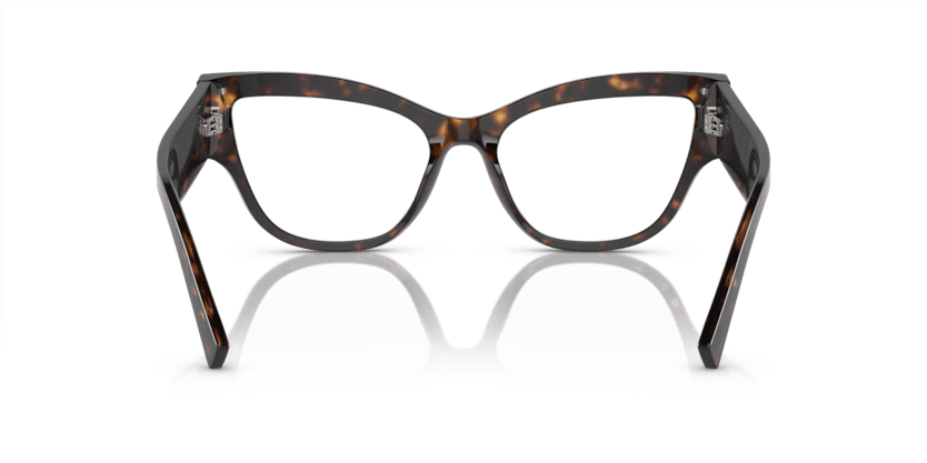 0DG3378 - Dolce & Gabbana - Tortoise - (Havana 502) - 53 - 17 - 145 MM - Ardor Eyewear 8056597948548