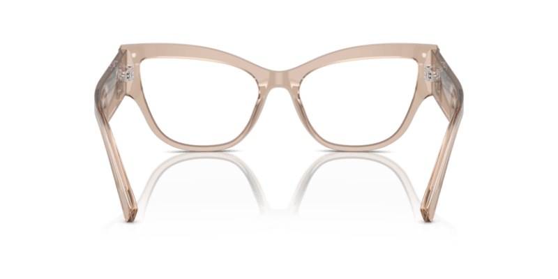 Transparent Camel - 0DG3378 8056262074527