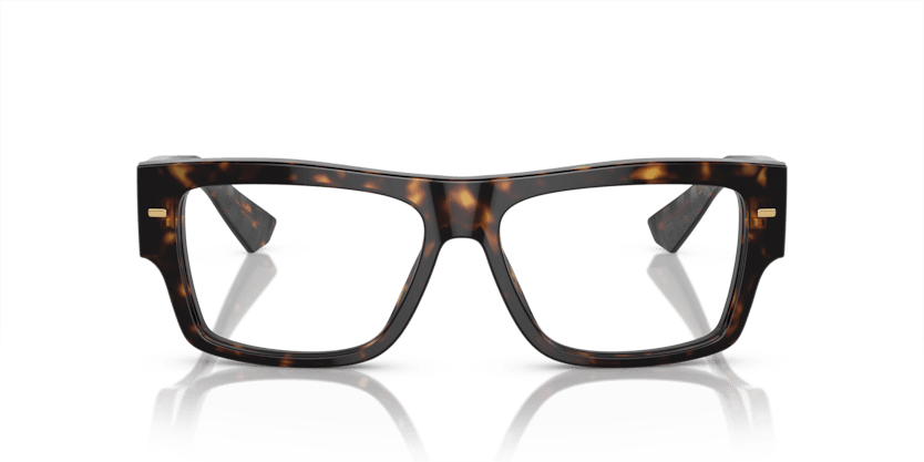 0DG3379 - Dolce & Gabbana - Tortoise - (Havana 502) - 53 - 15 - 145 MM - Ardor Eyewear 8056597945592