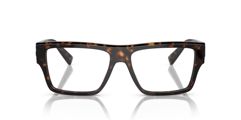 0DG3382 - Dolce & Gabbana - Tortoise - (Havana 502) - 53 - 16 - 145 MM - Ardor Eyewear 8056597950244