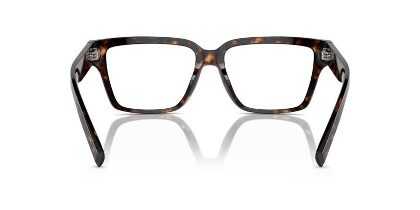 0DG3383 - Dolce & Gabbana - Tortoise - (Havana 502) - 53 - 16 - 145 MM - Ardor Eyewear 8056262054802