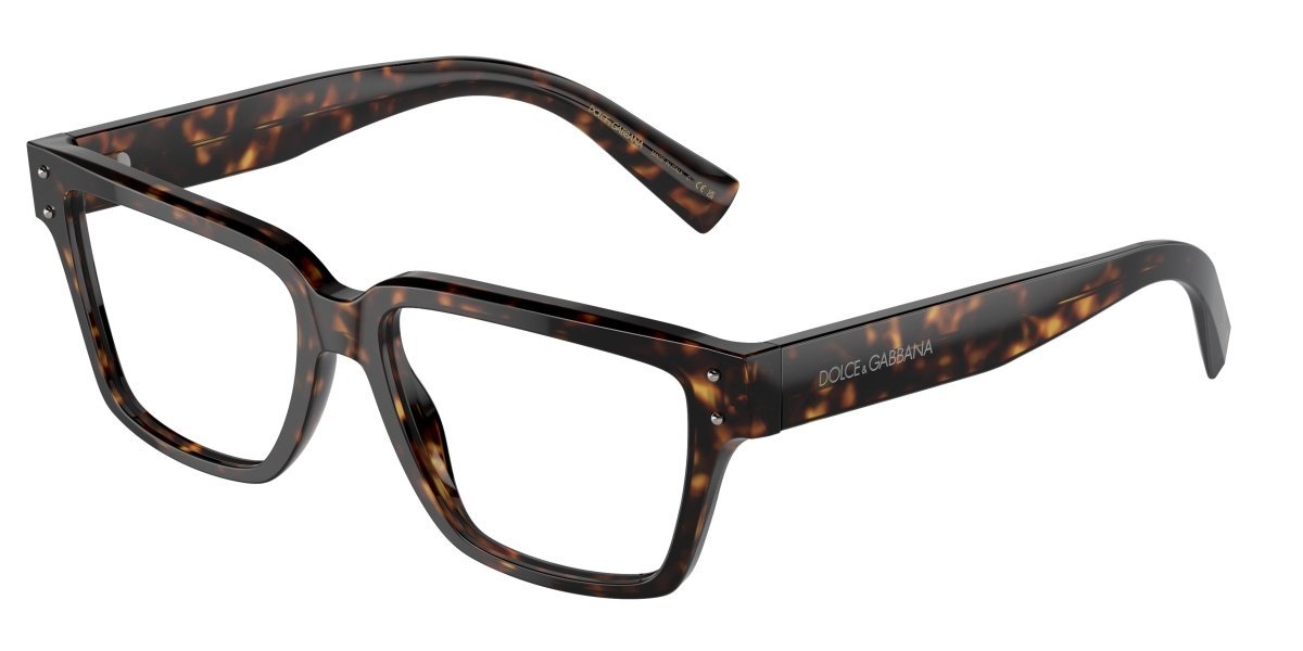 0DG3383 - Dolce & Gabbana - Tortoise - (Havana 502) - 53 - 16 - 145 MM - Ardor Eyewear 8056262054802