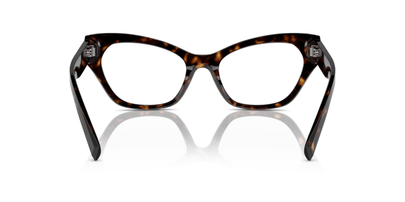 0DG3385 - Dolce & Gabbana - Tortoise - (Havana 502) - 52 - 19 - 145 MM - Ardor Eyewear 8056262062234