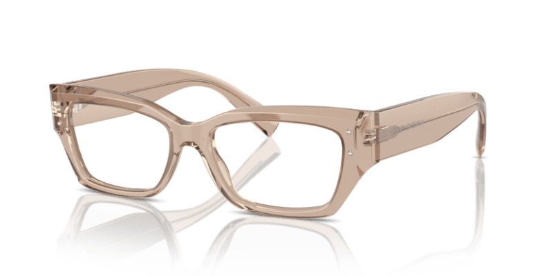 Transparent Camel - 0DG3387 8056262062463