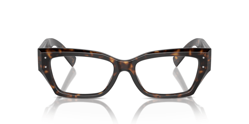 0DG3387 - Dolce & Gabbana - Tortoise - (Havana 502) - 51 - 16 - 145 MM - Ardor Eyewear 8056262062449